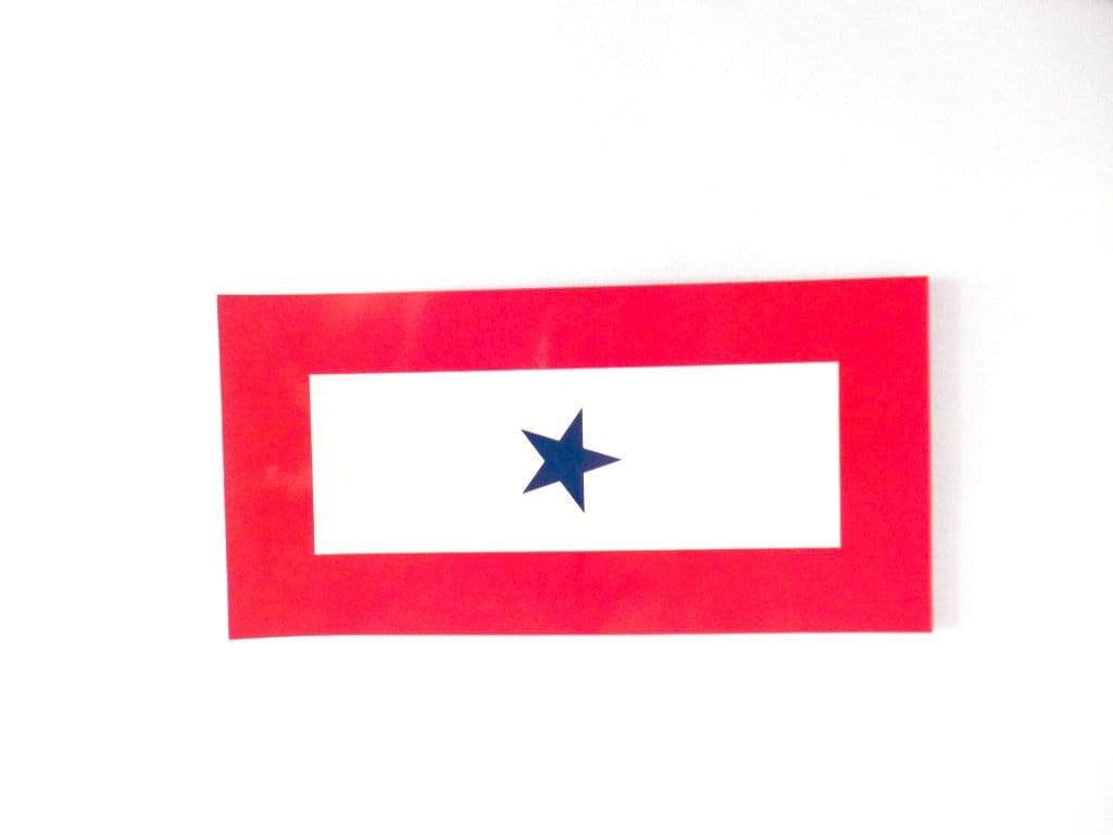 Blue Star Service Banner Auto Magnet MCRD Museum Gift Shop Blue Star Service Banner Auto Magnet MCRD Museum Gift Shop